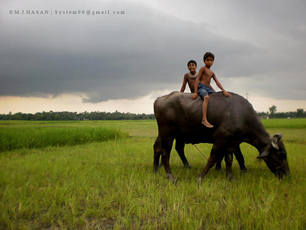 The Village Boys - Badhbajar , Kushtia, Bangladesh