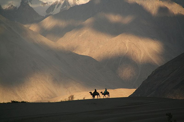 Hunder Desert - Ladakh, India