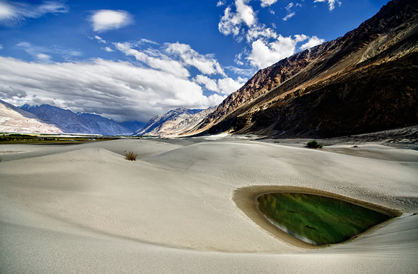 Oasis - Sanddunes, Hundar, Nubra valley, Ladakh, India