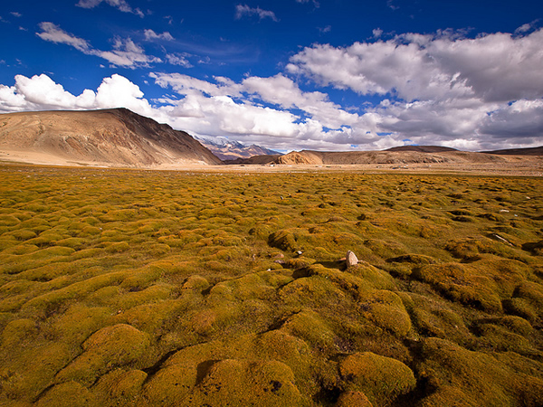 Remote Land - Ladakh, India