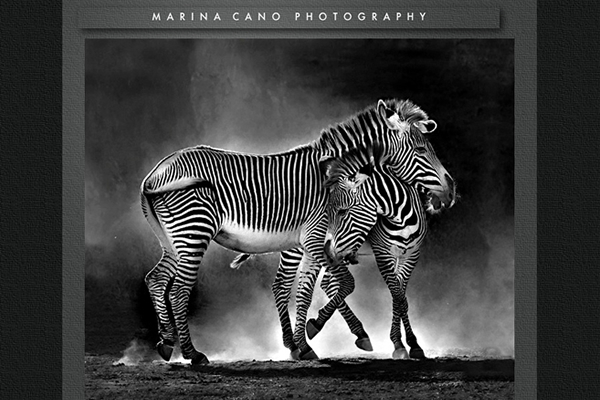 Marina Cano  - 25 Inspiring Portfolio Websites of Wildlife Photographers