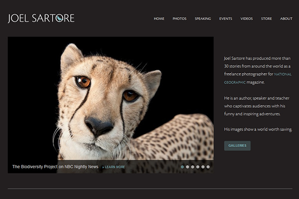 Joel Sartore - 25 Inspiring Portfolio Websites of Wildlife Photographers