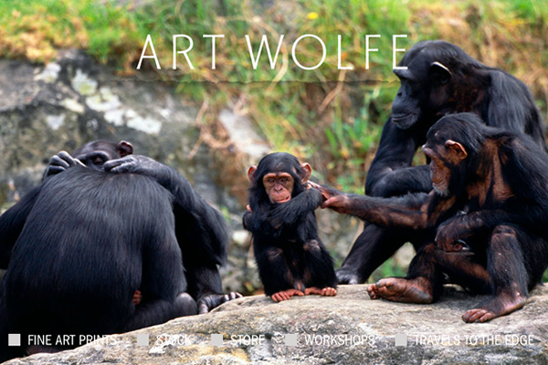 Art Wolfe - 25 Inspiring Portfolio Websites of Wildlife Photographers