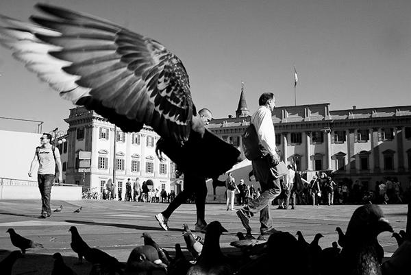 25 Best Entries of Action on the Street Photo Contest
