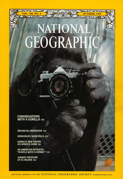 The Best of National Geographic Magazine Covers  - October 1978 - Conversations with a Gorilla 