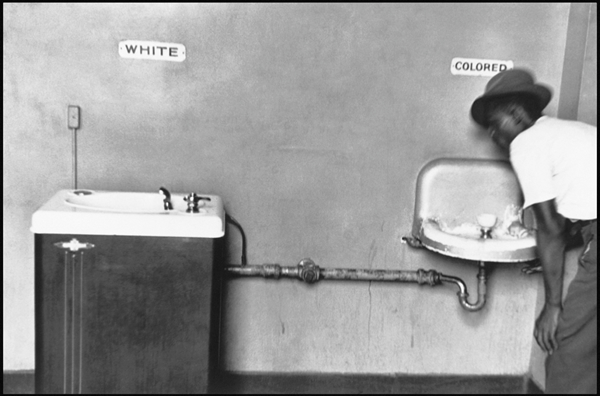 White Colored by Elliott Erwitt 