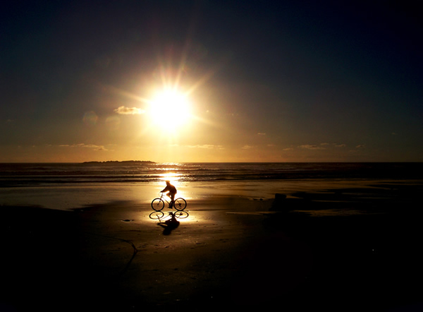 Best Entries of The Mood Of Silhouette Photo Contest