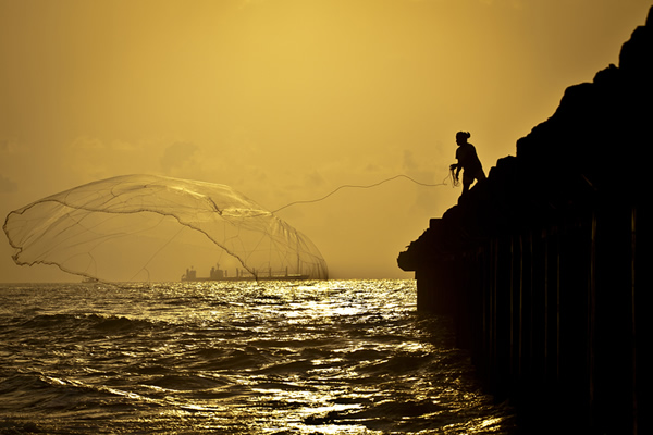 Best Entries of The Mood Of Silhouette Photo Contest