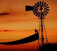 Best Entries of The Mood Of Silhouette Photo Contest