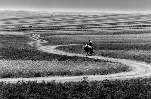 Roads of Kiarostami (2006)