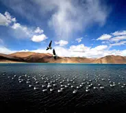 Beautiful Landscape Photo Contest – Best Entries