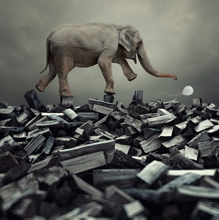 Conceptual Photo Interpretations By Caras Ionut