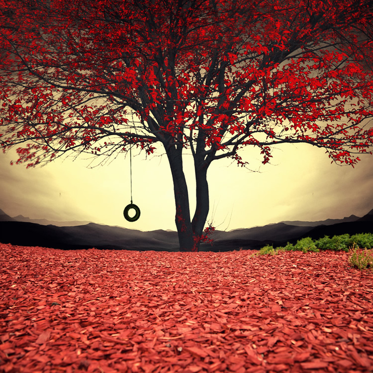 Conceptual Photo Interpretations By Caras Ionut