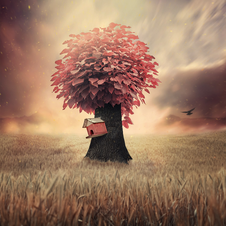 Conceptual Photo Interpretations By Caras Ionut