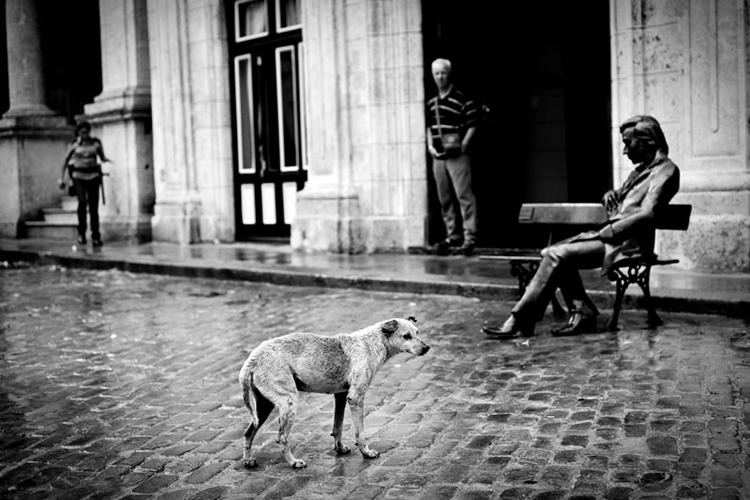 Inspiring Street Photography By Sagi Kortler - 121Clicks.com