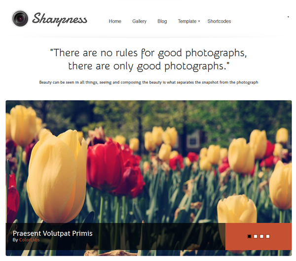 Sharpness Photograpy Responsive WordPress Theme