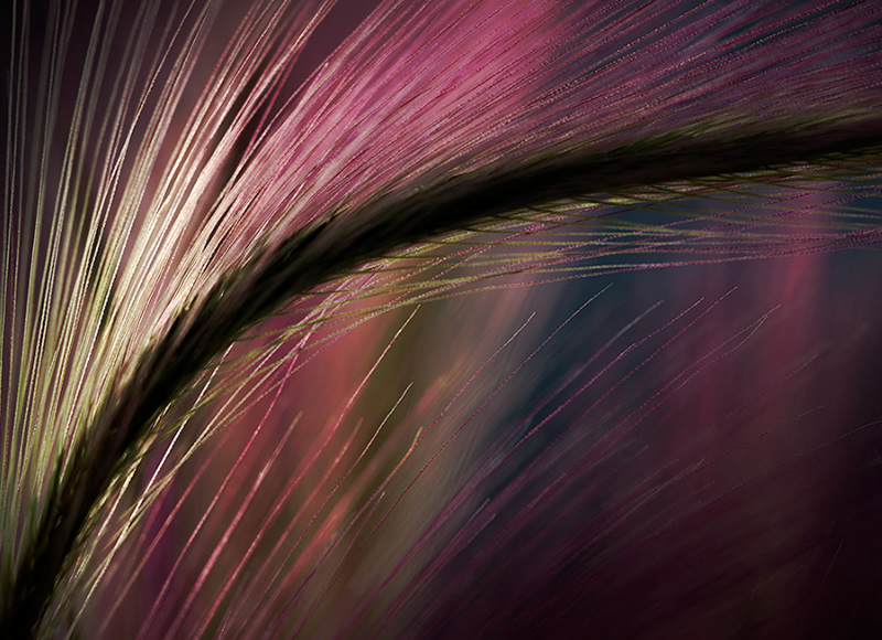 Creative Abstract Photography by Ursula Abresch