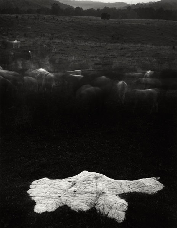 Sally mann фотографии