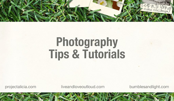 Photography Tips & Tutorials FREE e-book