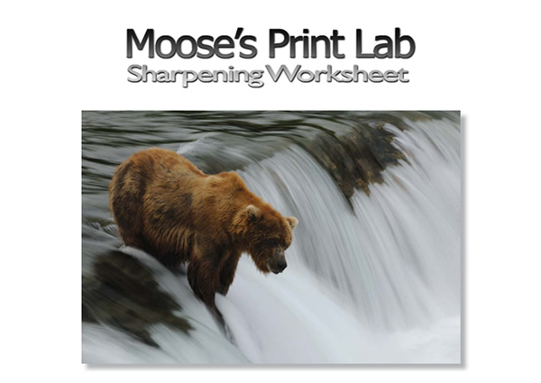 Moose's Print Lab - Sharpening Worksheet
