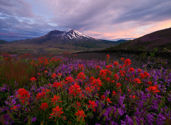 Interview with Nature Photographer Ian Plant