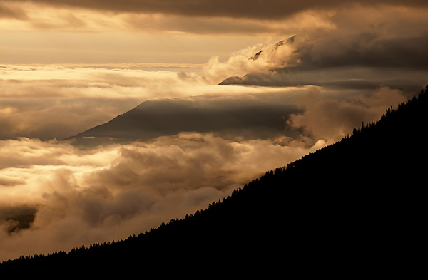 Interview with Nature Photographer Ian Plant