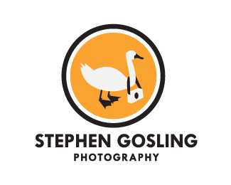 Stephen Gosling Photography