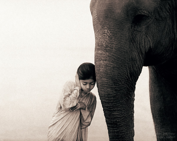 Ashes and Snow by Gregory Colbert