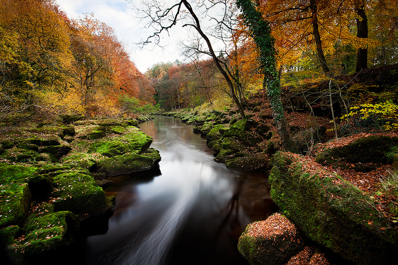 Beautiful Nature Photography by Jason Theaker