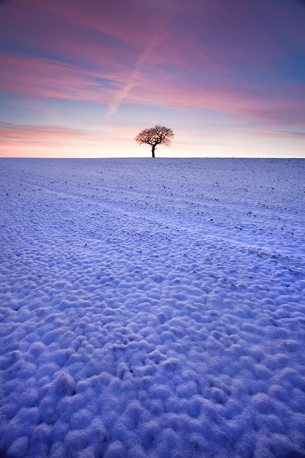 Belle photographie de la nature par Jason Theaker