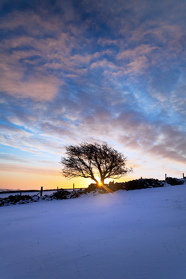 Belle photographie de la nature par Jason Theaker