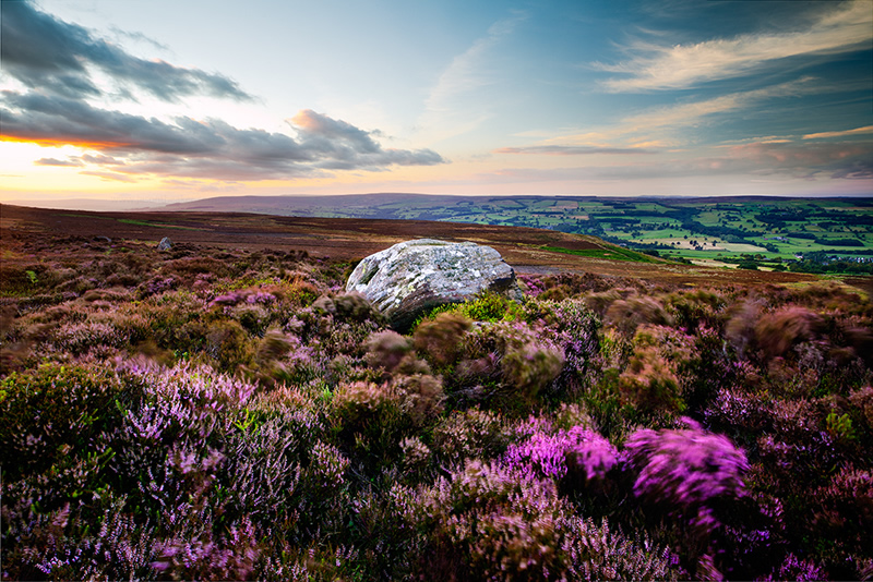 Belle photographie de la nature par Jason Theaker