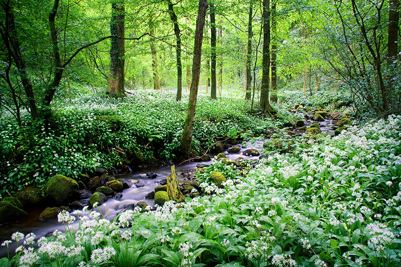 Beautiful Nature Photography by Jason Theaker