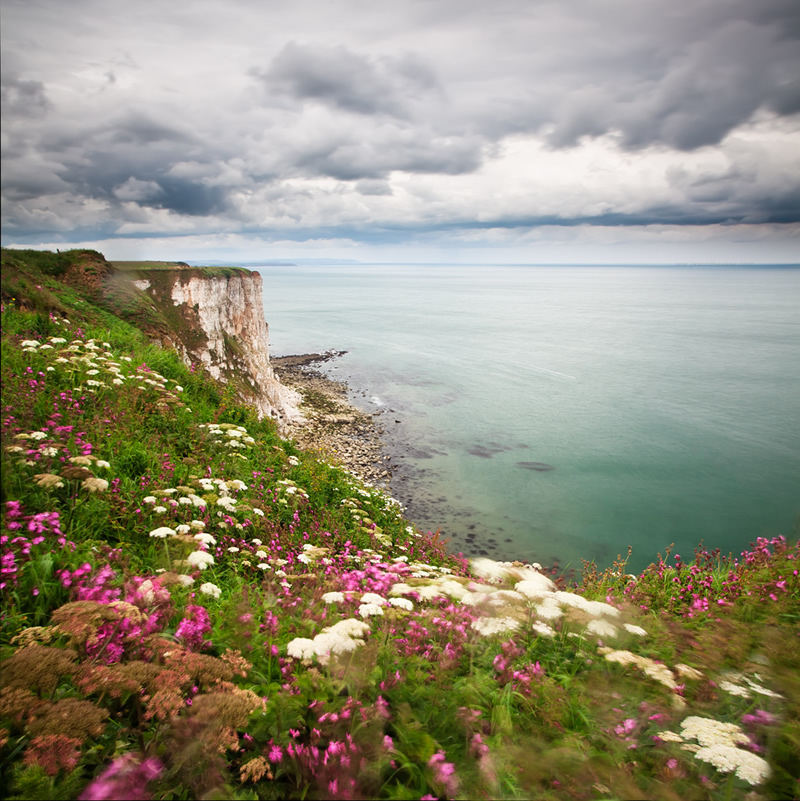 Belle photographie de la nature par Jason Theaker