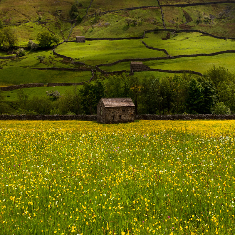 Belle photographie de la nature par Jason Theaker