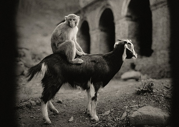 Pentti Sammallahti - Inspiration from Masters of Photography