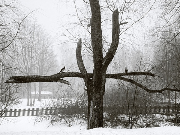 Pentti Sammallahti - Inspiration from Masters of Photography