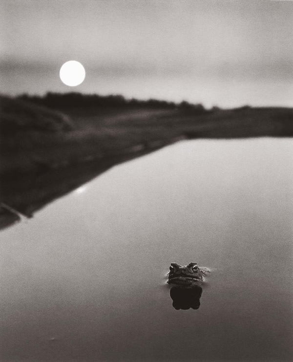 Pentti Sammallahti - Inspiration from Masters of Photography