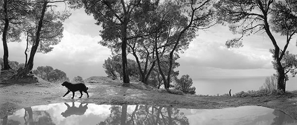 Pentti Sammallahti - Inspiration from Masters of Photography