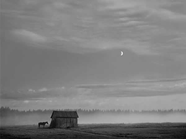 Pentti Sammallahti - Inspiration from Masters of Photography