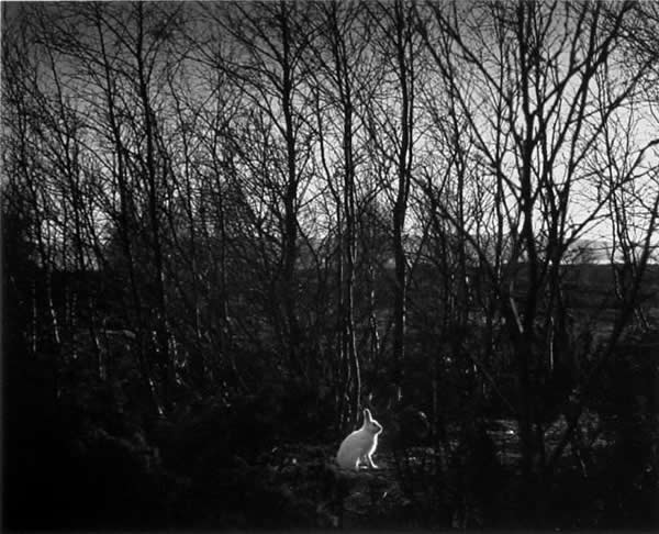 Pentti Sammallahti - Inspiration from Masters of Photography