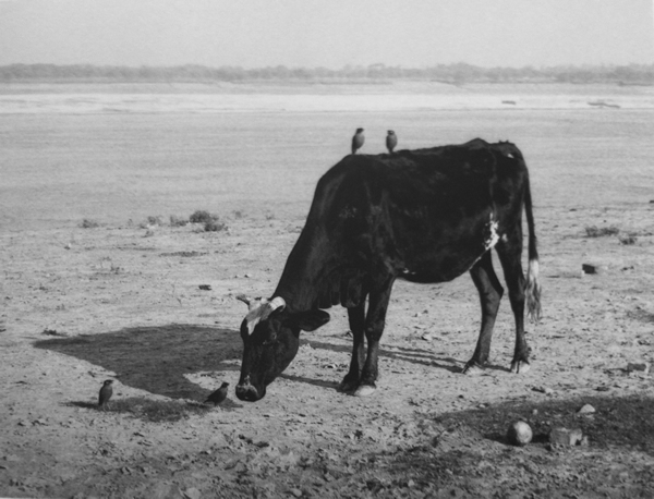 Pentti Sammallahti - Inspiration from Masters of Photography