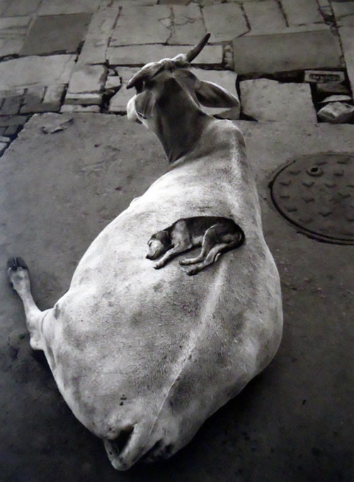 Pentti Sammallahti - Inspiration from Masters of Photography