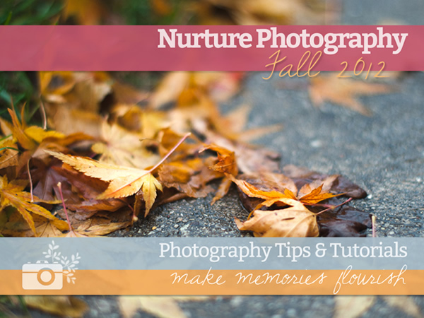Nurture Photography - Photography Tips & Tutorials