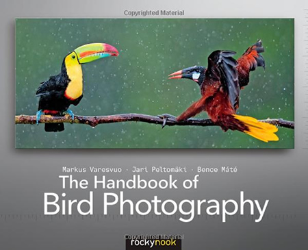 The Handbook of Bird Photography