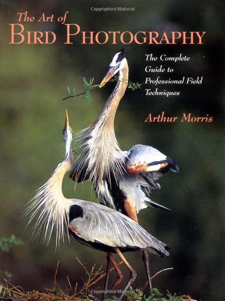 Art of Bird Photography: The Complete Guide to Professional Field Techniques