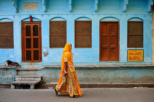 Walking woman and dog - Indian Color Street Photography