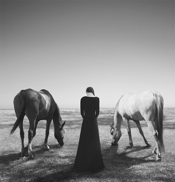 Noell S. Oszvald