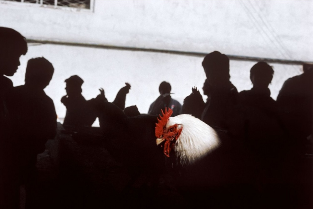 Gueorgui Pinkhassov – Inspiration from Masters of Photography