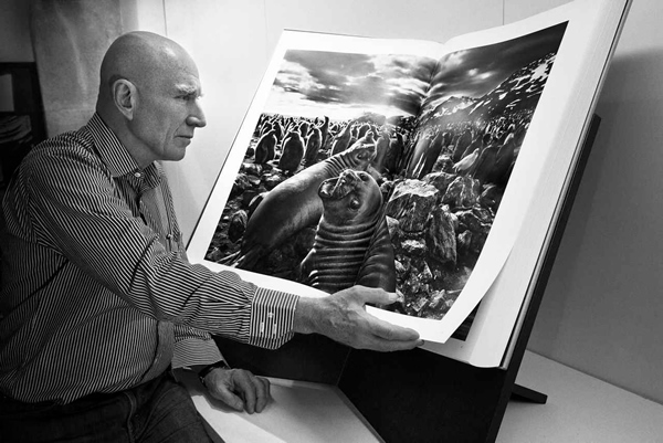 Sebastião Salgado: Genesis – A Portrait Of Nature